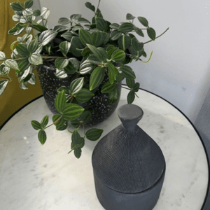Marrakesh Graphite Candle